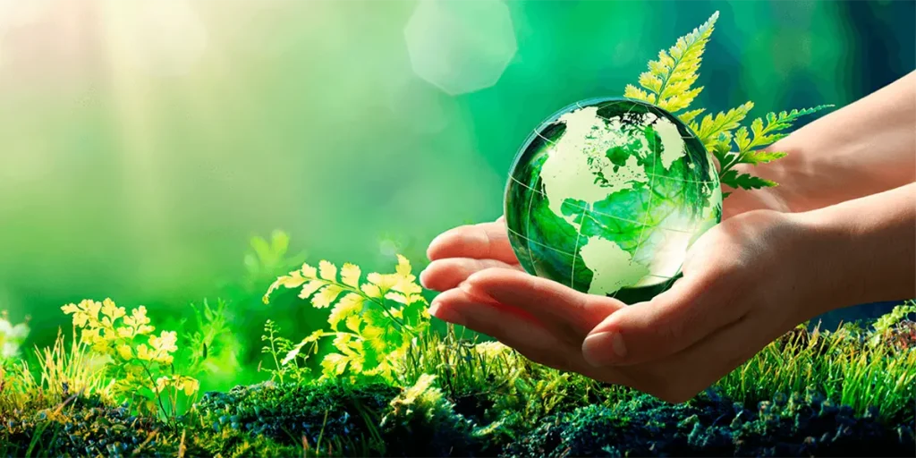 3 dicas para tornar a empresa mais sustentável
